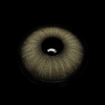 FA51-5_5B1_5D__IAmGn1.png
