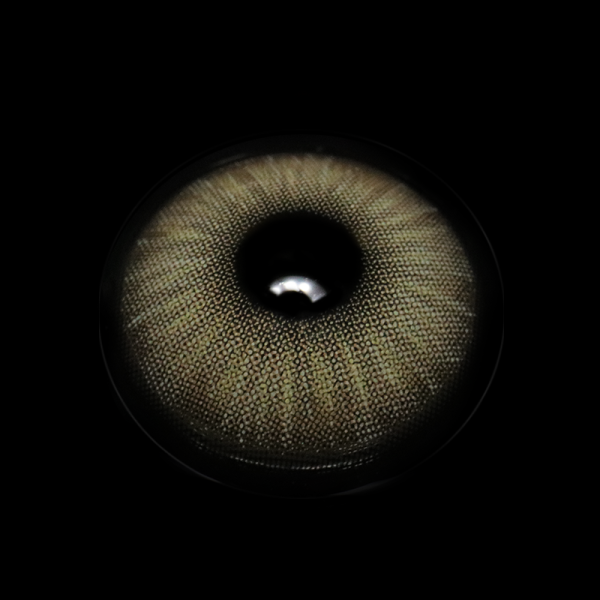 FA51-5_5B1_5D__IAmGn1.png
