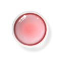 FAIRY_PINK_2.png