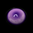 FAIRY_VIOLET_1.png