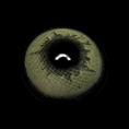 GLOW_Gray_Caramel_1.png