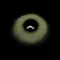 Greerl_5B1_5D__ebAN8S.png