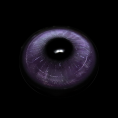 HORSE_violet_1.png