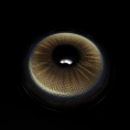 JY628_1.png