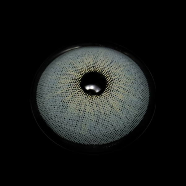 MI21-5_20_281_29_F52TUI.png