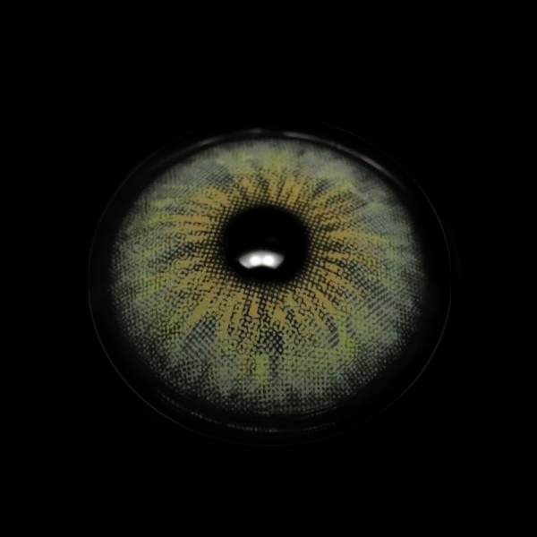 MI22-5_20_281_29_Y5NVjb.png