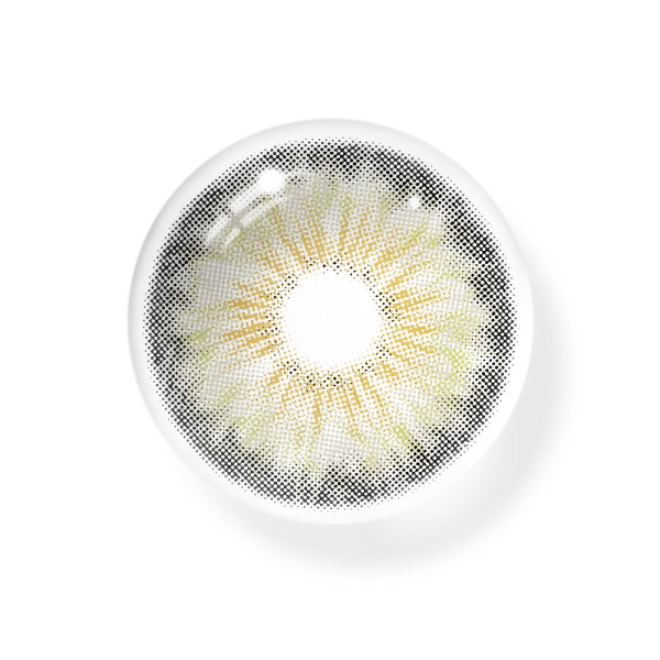 MI22-5_20_282_29_t93Y1W.png