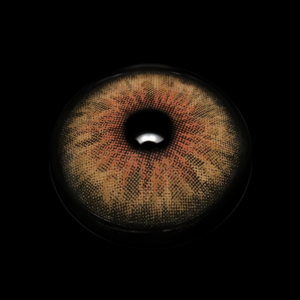 MI22-A_20_281_29_ypZ1Qc.png
