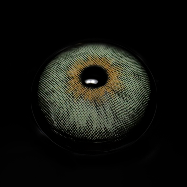 Mi20-2_1_b0550b71-3a62-4d6f-b4f3-a121bb5c23f3.png