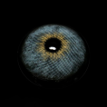 Mi20-3_1_2eab10c8-b15e-4c8e-bad0-06e98139e568.png