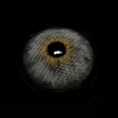 Mi20-5_1_495ccb00-269d-443f-aacf-36ad71b4e2a6.png