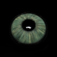 NMi-13_5B1_5D__Q6A7Nv.png