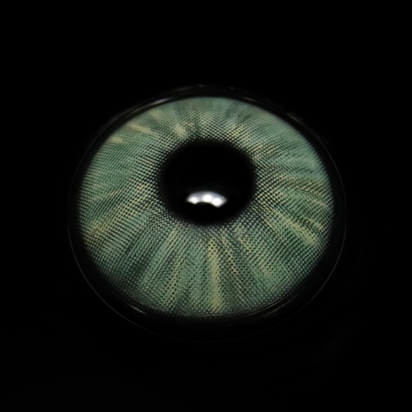 NMi-13_5B1_5D__Q6A7Nv.png