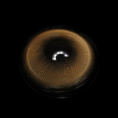 PUDDING_brown_1.png