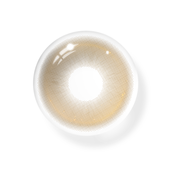 PUDDING_brown_2.png