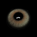 XY04-1_5B1_5D_HGt4JT.png