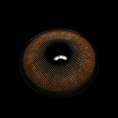 Z6_281_29__b5xJGu.png