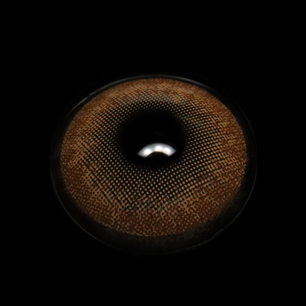 Z6_281_29__b5xJGu.png