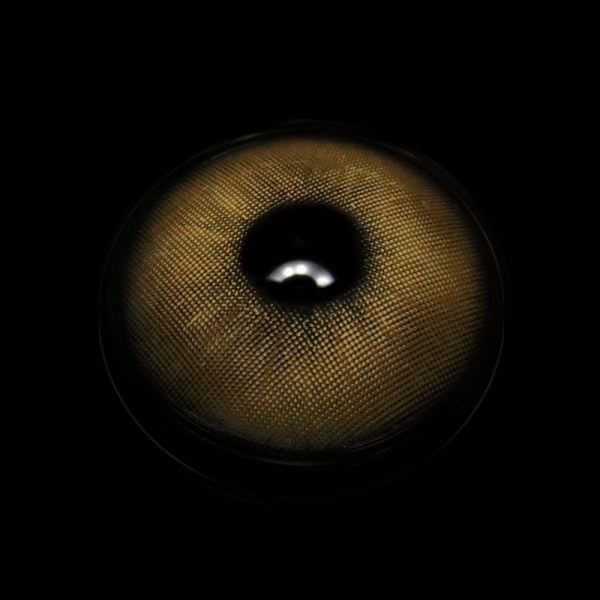 brownl_5B1_5D__2rFQc6.png