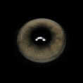 butterfly_20Gray_5B1_5D__Bu9xAv.png
