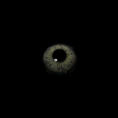 c0bc00959d1ea9ddff1cc8a2e6e1f992.png