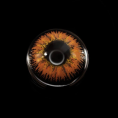 c1e309f073007e44b5268b7ccadd799d.png