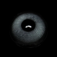 c5-3_5B1_5D__Qu5HEX.png