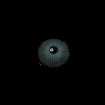 c92e0234e5feb8988a96d769774d60fd.png
