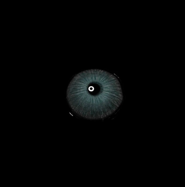 c92e0234e5feb8988a96d769774d60fd.png