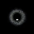 cc9da6cab7a60d9e69ea5f992c9f3fe0.jpg