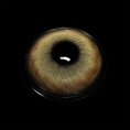 ce5b8e211082c98b4dd9816561c83db4.png