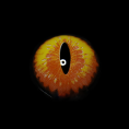 f0929debd5e9a3ab0f9b61df1a2a2f93.png