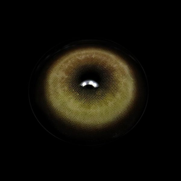 png_02d4b240-b5d1-47c4-9a77-5102f3a95c51.jpg