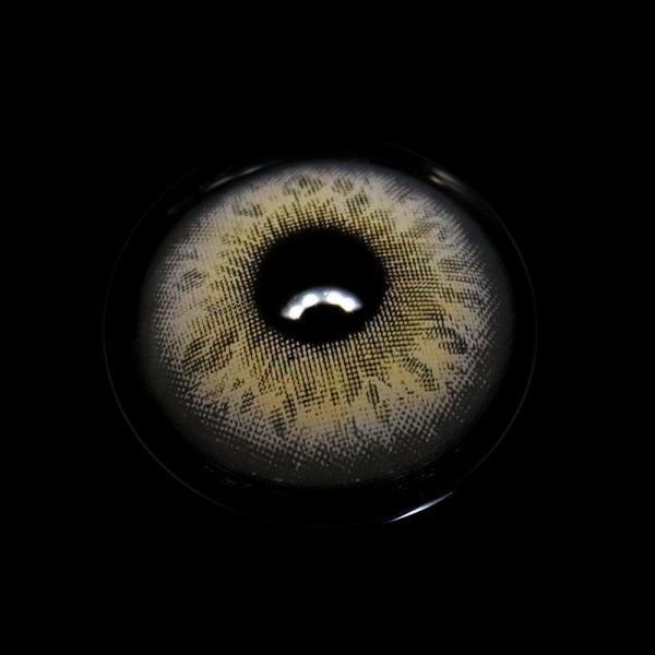 png_0a05f97c-0a41-4912-b7dd-88c2cf5000b7.jpg