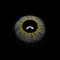 png_4c0b13ae-9b55-4da6-b49a-20b00b9324d0.jpg