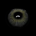 png_bf27b04d-505c-4fd5-9c57-e7ef890c39f9.jpg